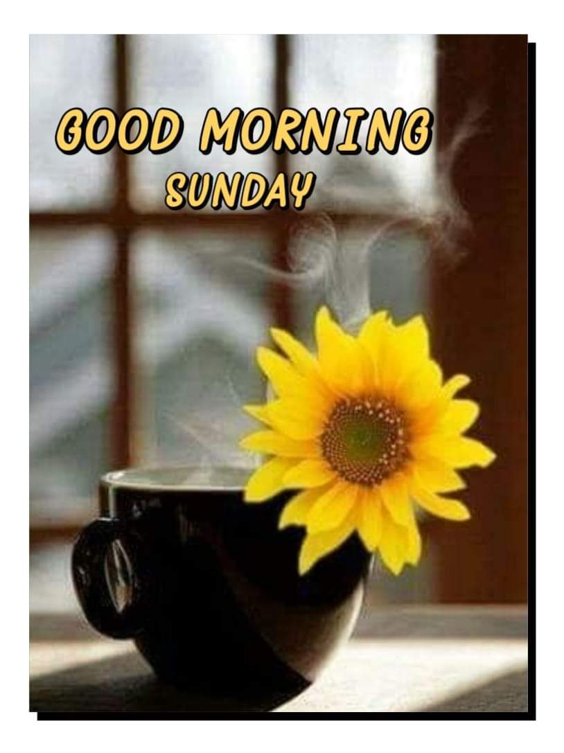 #Goodmorning to all my friends across the world 🌎 Have a #Blessedday #Takecare #Staysafe #StayHealthy God bless you 🙏 Love you all ❤️ #HappySunday