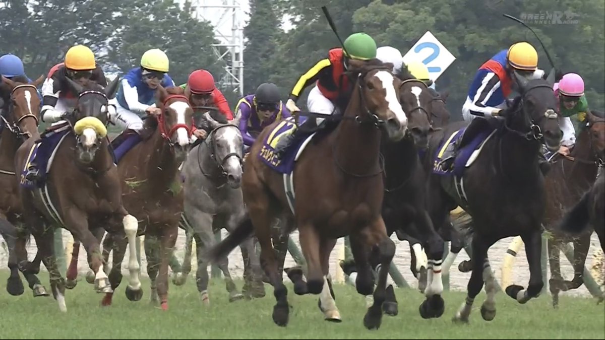 #チェルヴィニア が、#オークス(GI)を優勝🥇 見事、3歳牝馬の頂点に立つ❗️ 今年も素晴らしいレースだったね✨おめでとう🎉 #JRA #JRAFUN #C・ルメール