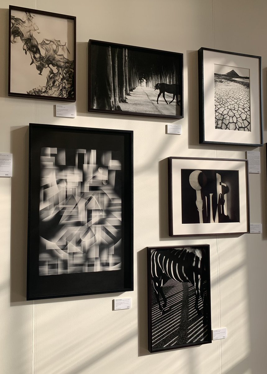 MMX GALLERY tweet media