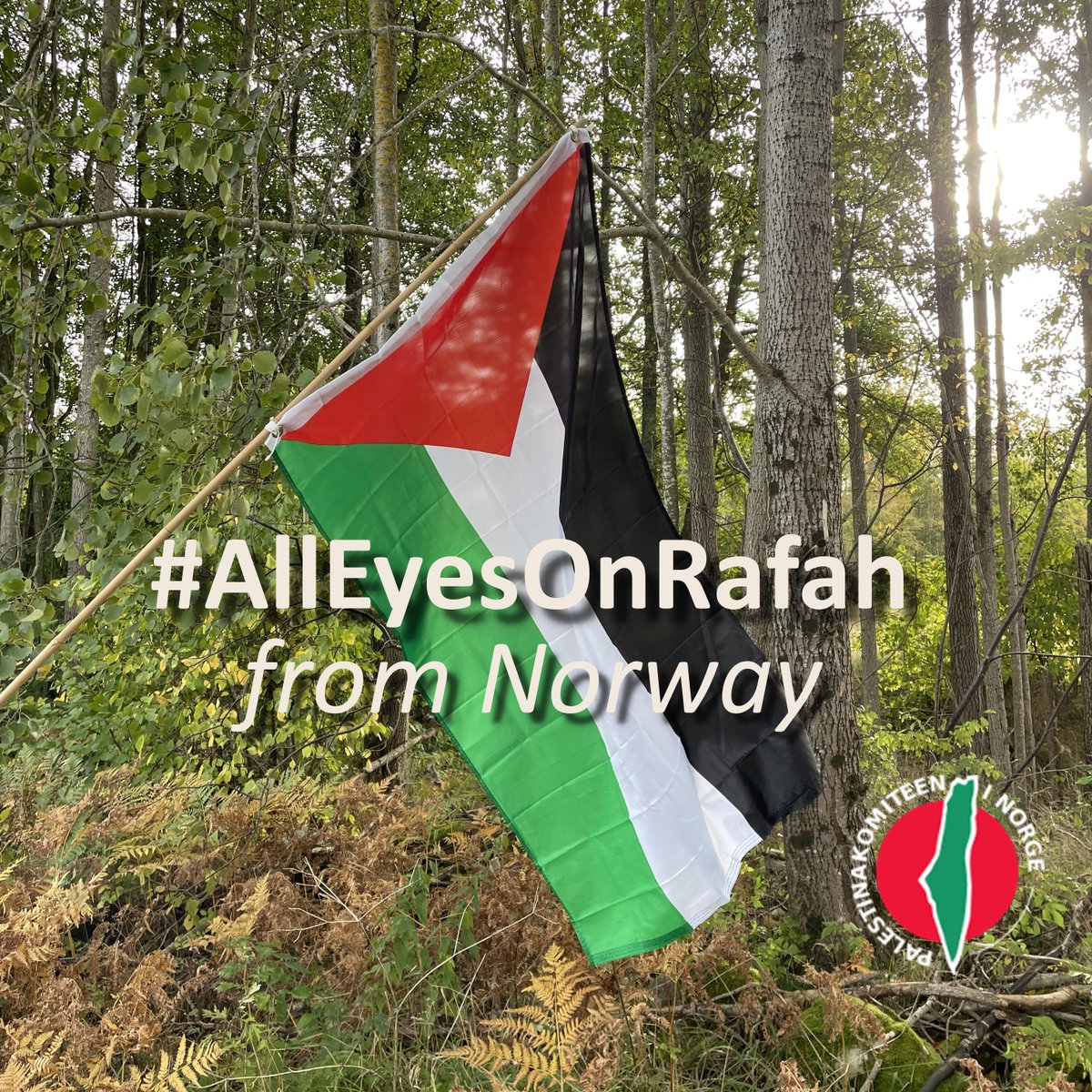 #alleyesonraffah #GazaGenocide Don't stop talking about #Palestine