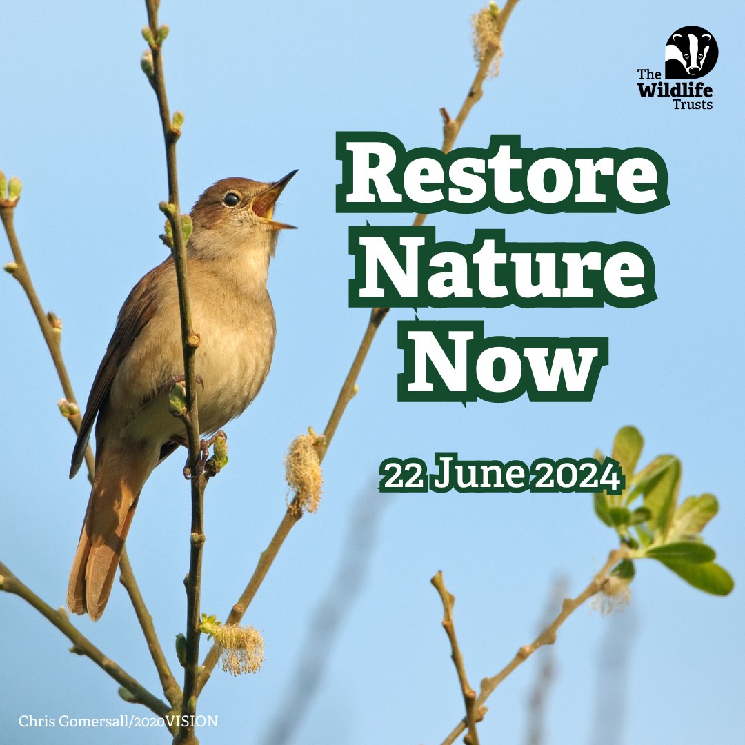 Polluted rivers, lost woodlands, overfished seas, UK Nature is struggling, & it needs us to stand up for it. Let’s unite for nature in London on 22 June to #RestoreNatureNow Find out more & sign up restorenaturenow.com Tell us if you are planning to come!