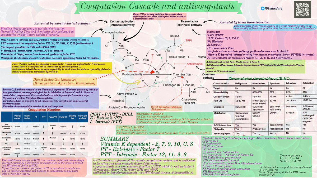 Coagulation Cascade and Anticoagulants - Summary

by @DharSaty
#medtwitter #foamed #usmle