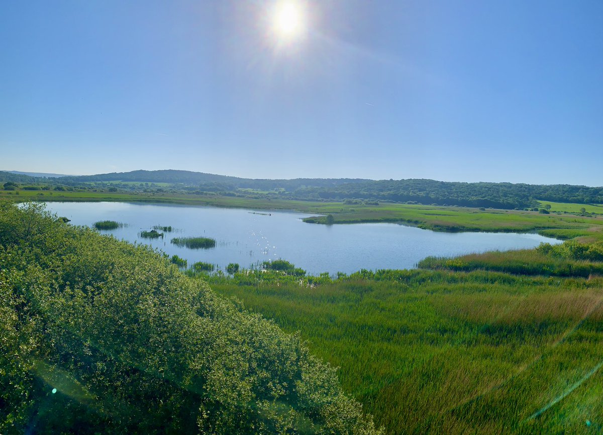 Of all the places you could be on a Sunday morning, why would you want to choose anywhere else? (Photo taken from the top of the Skytower at @RSPBLeightonM)