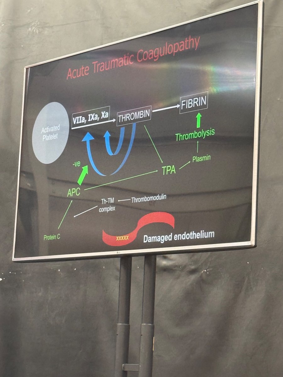 Very interesting and thought provoking lecture on ATC/ TIC #atacc @ATACCGroup 🩸🅾️