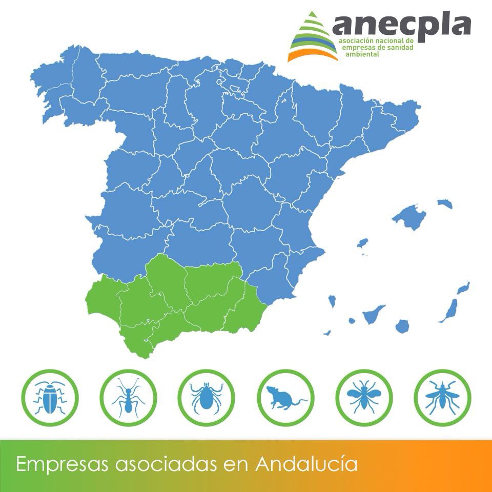 📍¡Andalucía! En ANECPLA, aseguramos que nuestros asociados sean los mejores expertos en control de plagas que puedas necesitar. 🐀🕷️🦟🪳🐜🪰 ¿Conoces nuestro buscador? 👉 Accede ahora y confía en su experiencia para proteger tus espacios. 🔎 Encuentra al profesional que estás