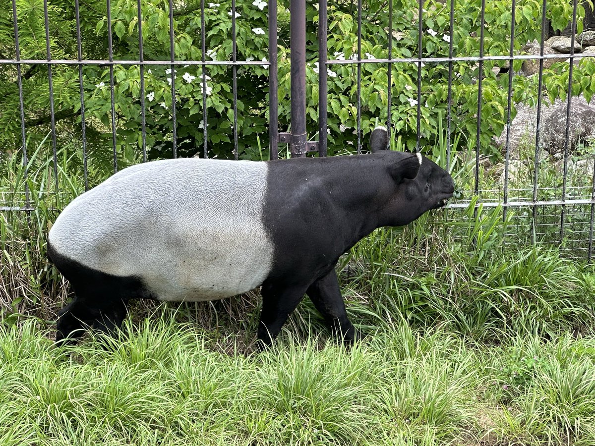 一人動物園しました