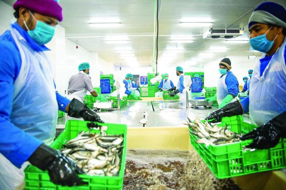 Explore the depths of Oman’s Blue Economy at #TejarahTalks 7:30pm Tuesday 4 June <a href="/OmanConvention/">OCEC Oman</a> Engage with @FDO_Oman <a href="/AsyadGroupOman/">اسيـــاد ASYAD</a> and <a href="/Oman_OIA/">Oman Investment Authority جهاز الاستثمار العماني</a> experts on marine sustainability and economic growth. Register today! shorturl.at/YRqiC @JSISOman <a href="/NortalGlobal/">Nortal</a>