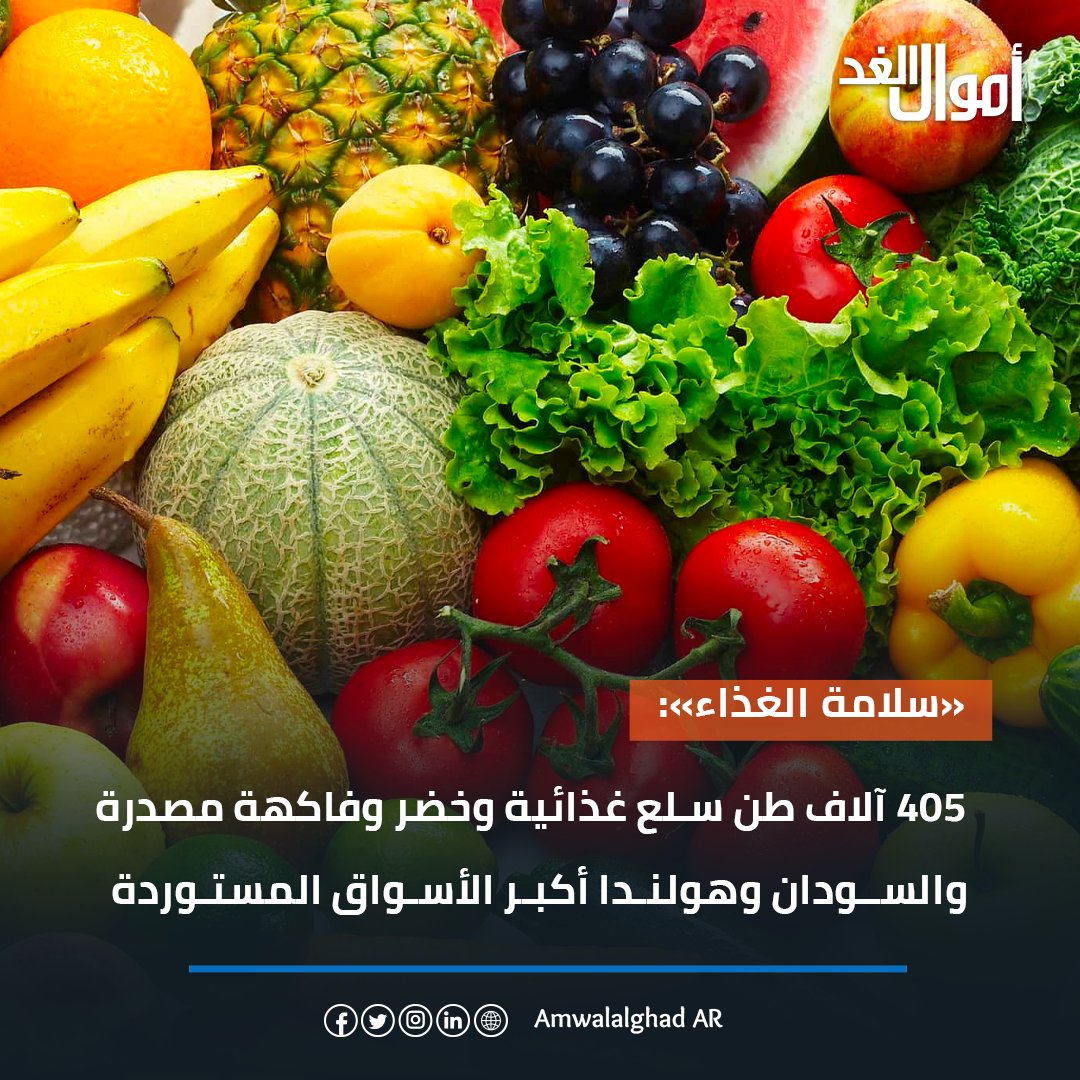 «سلامة الغذاء»: 405 آلاف طن سلع غذائية وخضر وفاكهة مصدرة.. والسودان وهولندا أكبر الأسواق المستوردة 