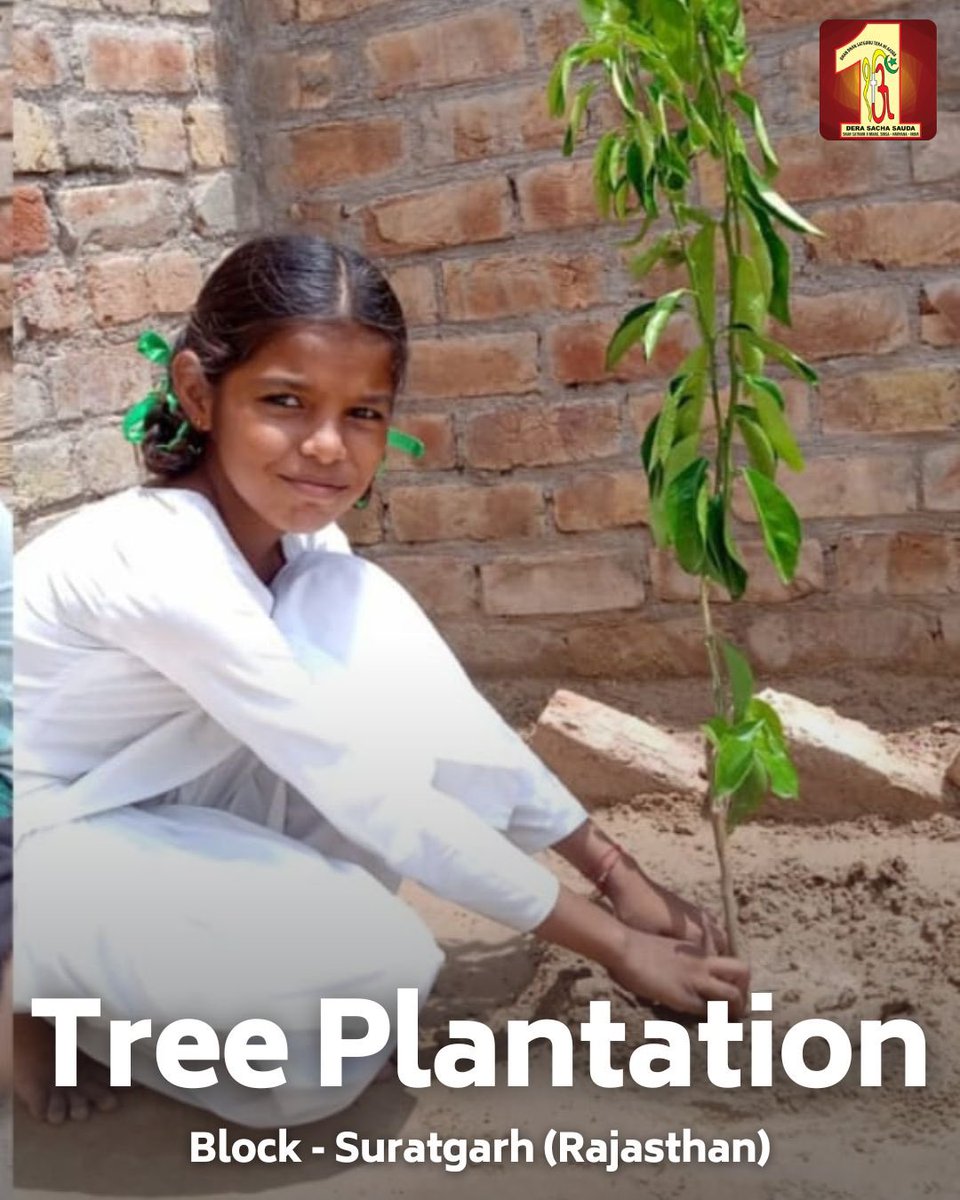 These young Dera Sacha Sauda volunteers are stepping up as guardians of our environment by planting trees! 🌳 When children embrace the importance of greening our planet🌎, there's bright hope for the future. Let's nurture this spirit and watch our world flourish!