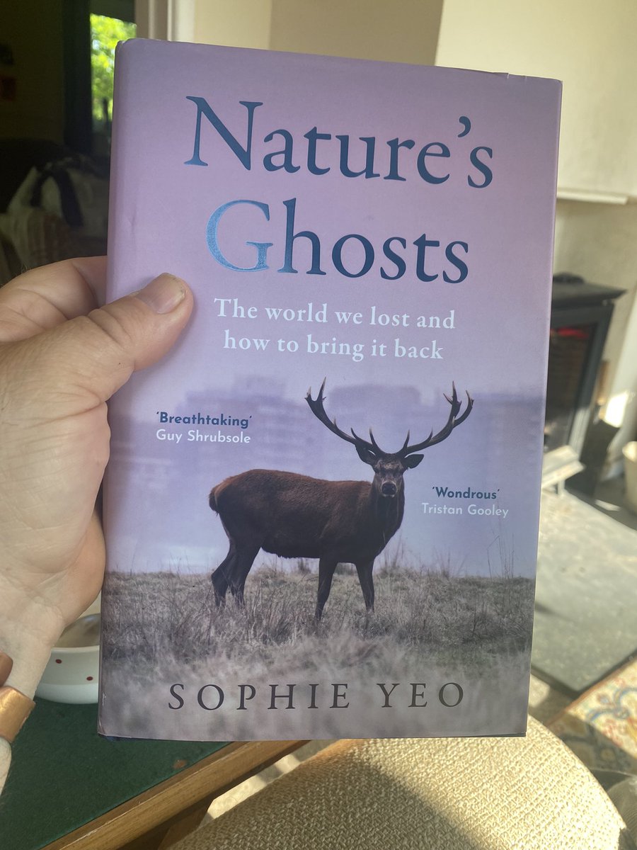 Slow, warm Sunday morning. Lots to do but not quickly. This is a lovely book from the delightful Sophie Yeo. Insightful regarding oh so much about lost landscapes, process and species. A must for every rewilders or nature enthusiasts shelves.