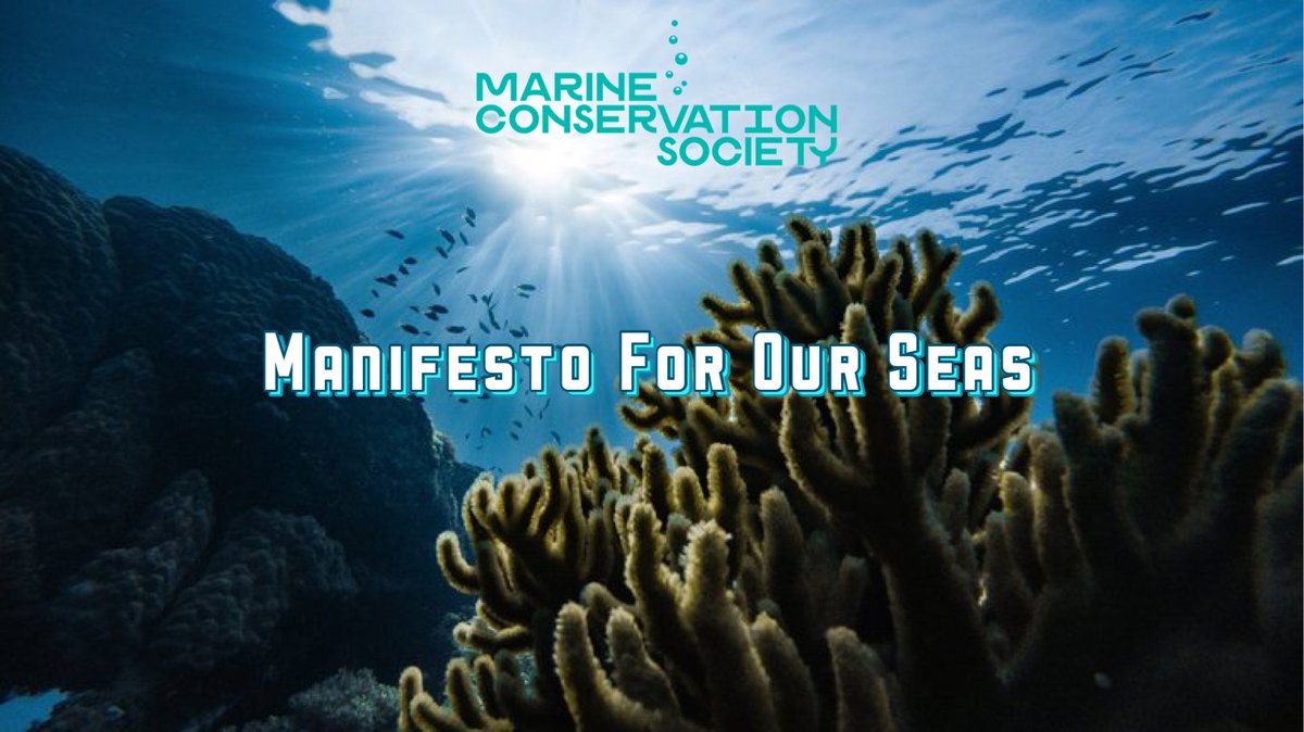 I'm supporting the @mcsuk Manifesto for our Seas. Will you too? nmshr.io/s/twitter/ZBM8…