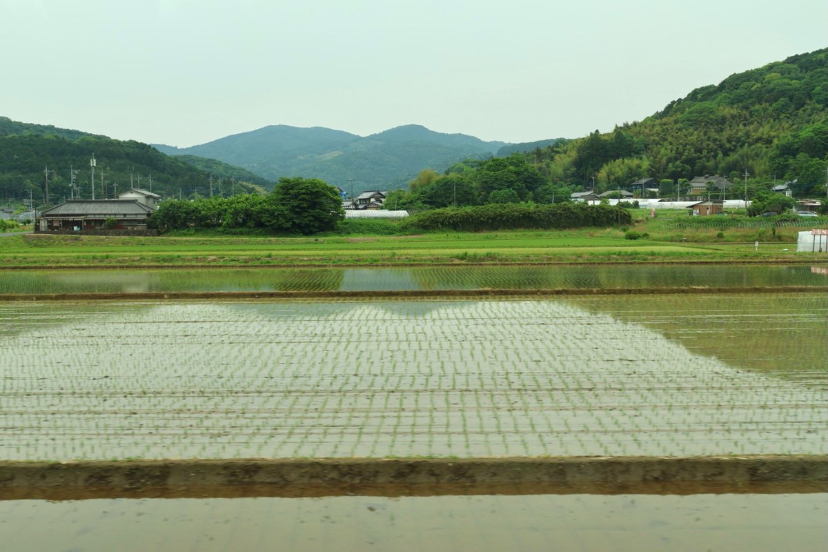 JA全農親子農業体験ツアー🌾🍠in JAやさと

本日のプログラムは全て終了しました✨
バスに乗って帰ります🚌
9月には大きくなったお米やお芋を収穫しにきます。😊🌾
稲刈りと一緒に田んぼの生きもの調査も！👀🦗🔍
また皆で集まりましょう‼️

#全農 #農業体験 #JAやさと #茨城県