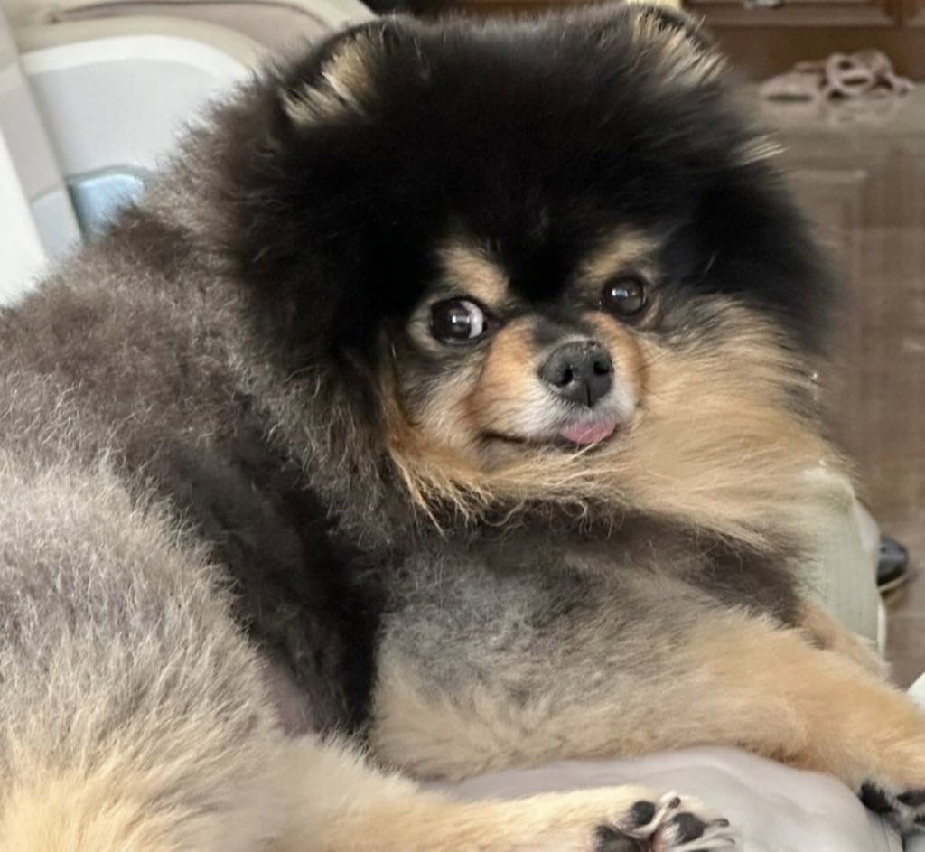 Taehyungimpact's tweet photo. Smol tannie                                  Big tannie https://t.co/Ca0tgtMNx2