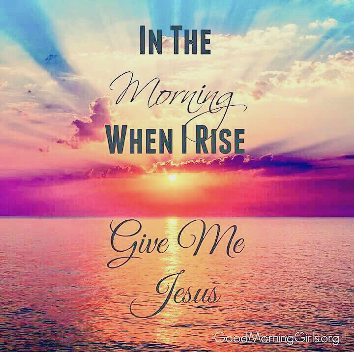 Elvira Amberg tweet media