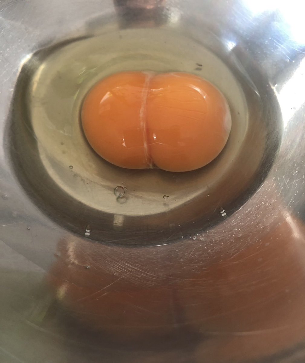 今朝、卵割ったらなんと双子ちゃん🥚
みなさん何に見えますか？
わたしお尻にか見えない😝
来週は久々に月、金お昼出勤です🌱
お待ちしてます♡⃛