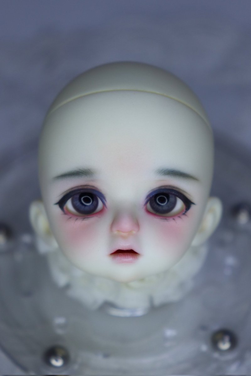 DENTELLE 덴텔레 🇰🇷 tweet media