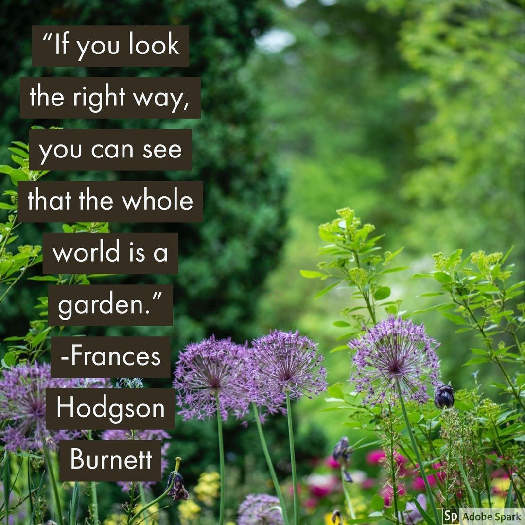 Quote of the day: “If you look the right way, you can see that the whole world is a garden.” The Secret Garden by Frances Hodgson Burnett                      
 #kidlit #reading #ukedchat