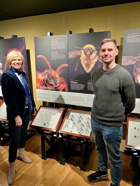 We visit the National Museum of Ireland - Country Life in Co Mayo to hear all about their Murmur of Bees Exhibition on #RTENationwide Monday 20th May on @RTEOne at 7pm @NMIreland @PollinatorPlan @IrishBeeCP @Irish_Bees @MayoHour @themayonews @MayoDotIE @abcassin #WorldBeeDay RT