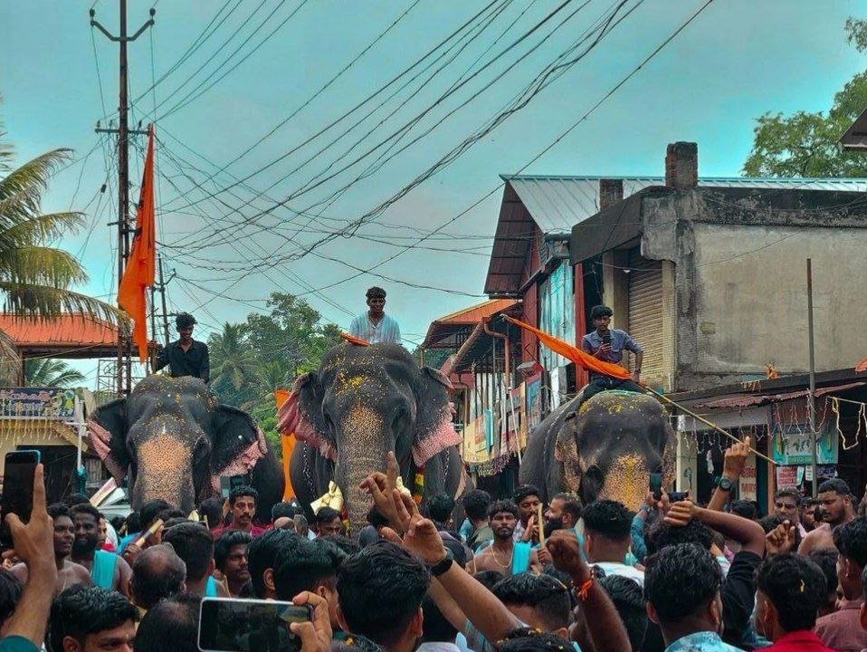 AbhijithDeth's tweet photo. Today marks the spectacular Gajamela at Thiruvanvandoor Sree Mahavishnu Temple (Alappuzha, Kerala). Witnessing the grand parade of 15 majestic elephants, traditional music & floats. A true celebration of Kerala's heritage & South Indian Culture #KeralaFestivals #thrissurpooram https://t.co/F1mDtrDhyb