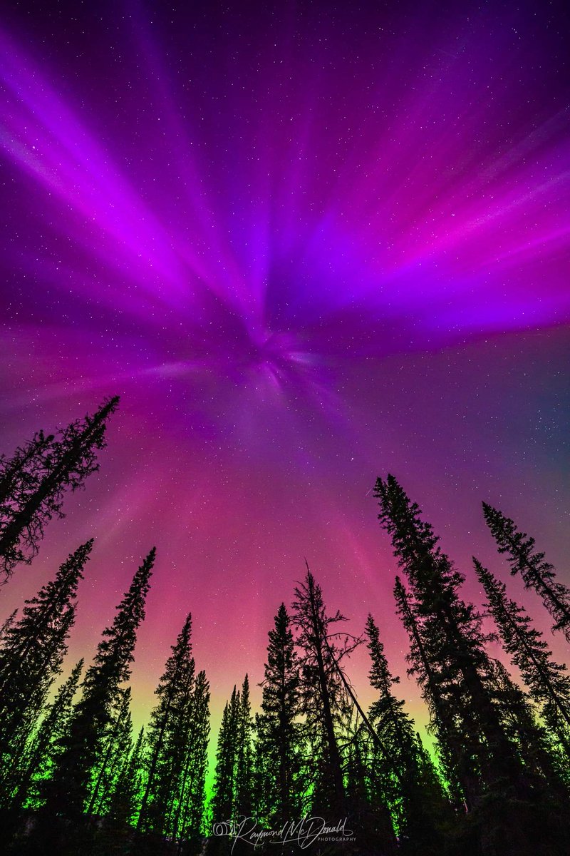 The Auroral Symphony! Castle Moutain, Alberta. May 11, 2024. @theauroraguy @TravelAlberta @TravelGoC @SonyAlpha @CalgaryRASC @Aurora_Alerts @aurora_chasers @chunder10 @NightLights_AM @scottrockphoto @NASA @NASASun  #northernlights #AuroraBorealis #AURORA