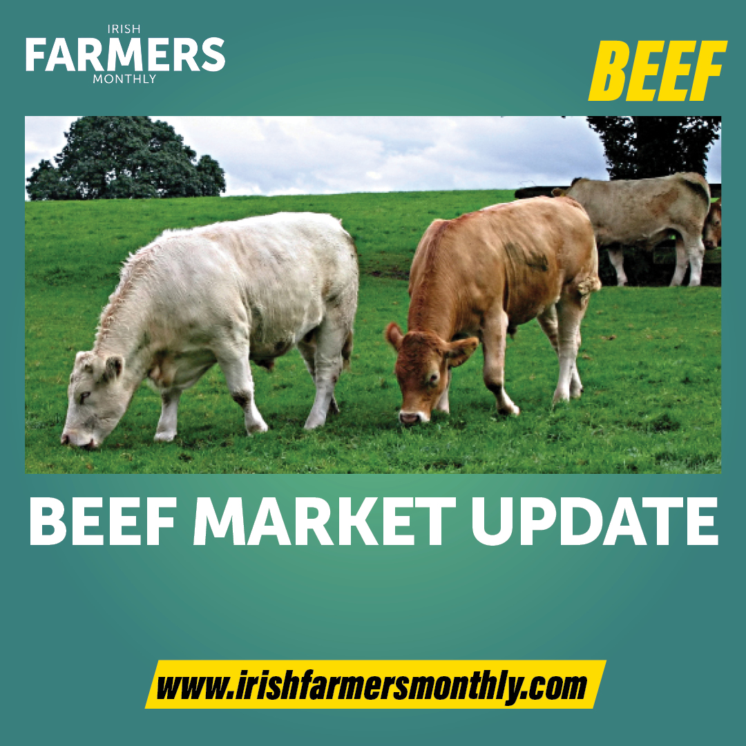 Joe Burke, beef and livestock sector manager with @BordBia, offers an update on the current market trends affecting beef exports: t.ly/vxGhA