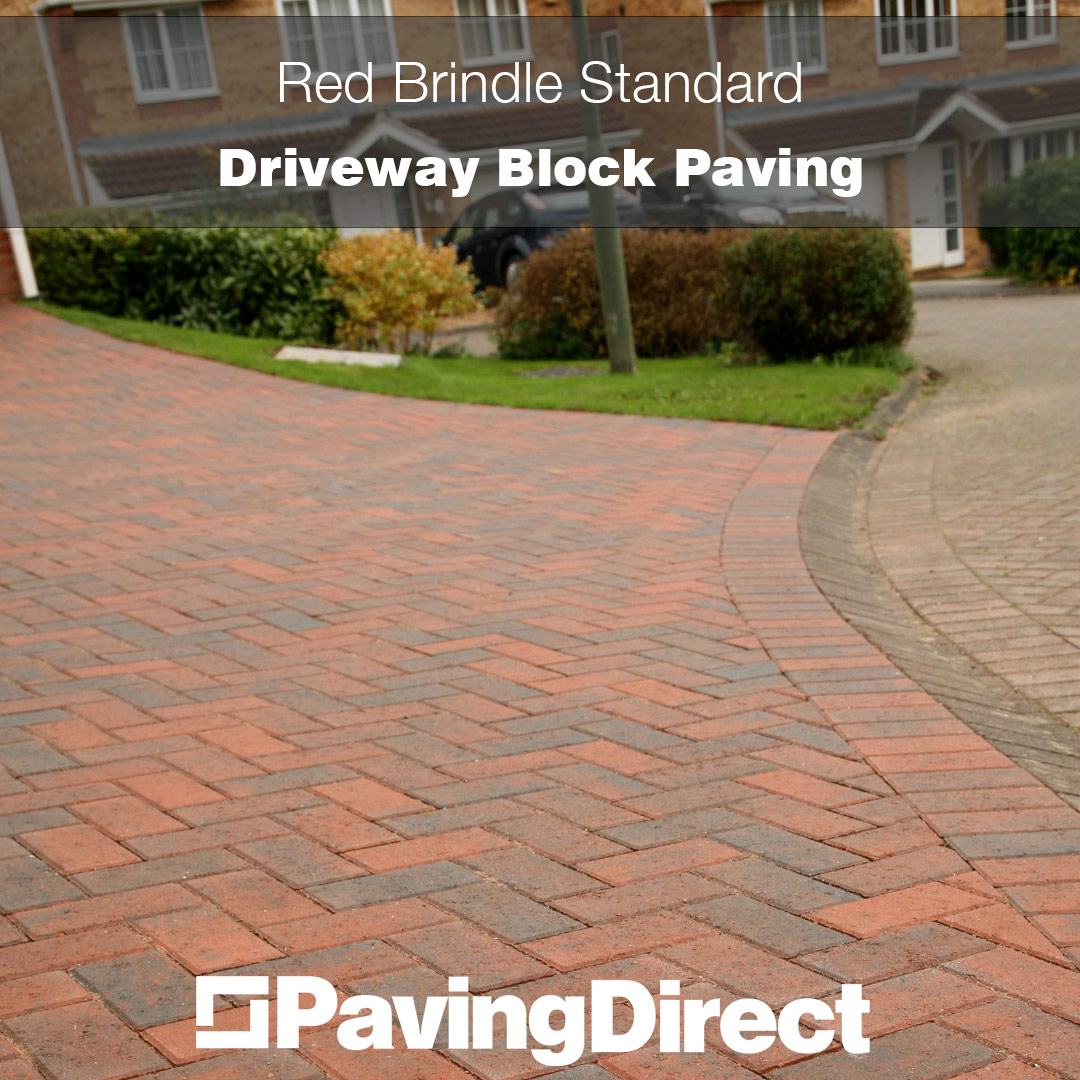 Paving Direct tweet media