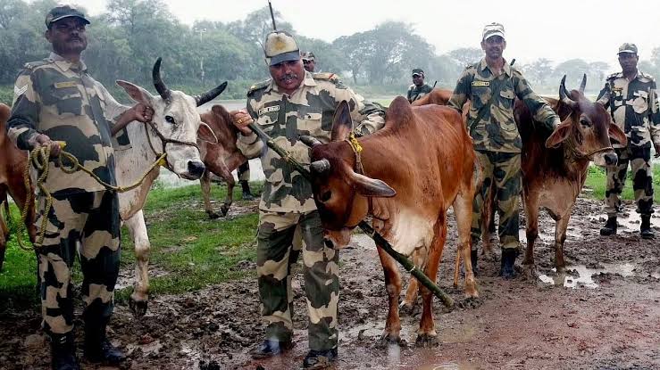 10-12 smugglers attempted to smuggle cattle by cutting the barbed wire fence on the India-Bangladesh border in Jalpaiguri, West Bengal

When BSF tried to stop them, smugglers opened fire & injured some BSF jawans

BSF then retaliated & killed wanted cattle smuggler Kajirul Haque.