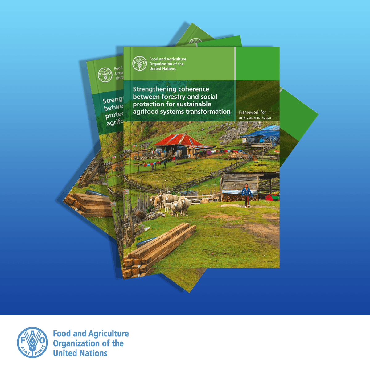 Download a free @FAO publication

Strengthening coherence between forestry and #SocialProtection for sustainable agrifood systems transformation

👉 ow.ly/aA1g50Q9LQe