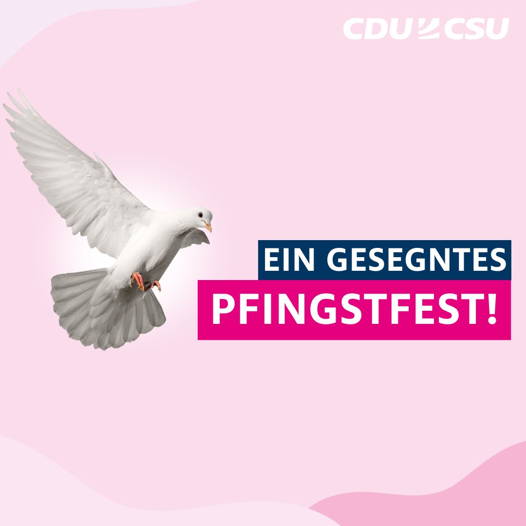 🕊 An #Pfingsten feiern wir die Entsendung des Heiligen Geistes, die an die Anfänge der Kirche erinnert. Die weiße Taube ist ein Symbol für den Heiligen Geist. Sie steht für Frieden, Freiheit und Liebe – Werte, die besonders in Zeiten wie diesen wichtig sind.