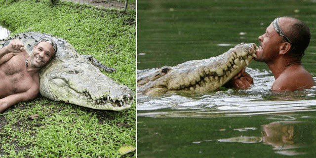 A local fisherman Chito in Costa Rica nursed a crocodile back to health after it had been shot in head, and released the reptile back to its home. The next day, Chito discovered “Pocho” had followed him home and was sleeping on the man’s porch. For 20 years Pocho became part of