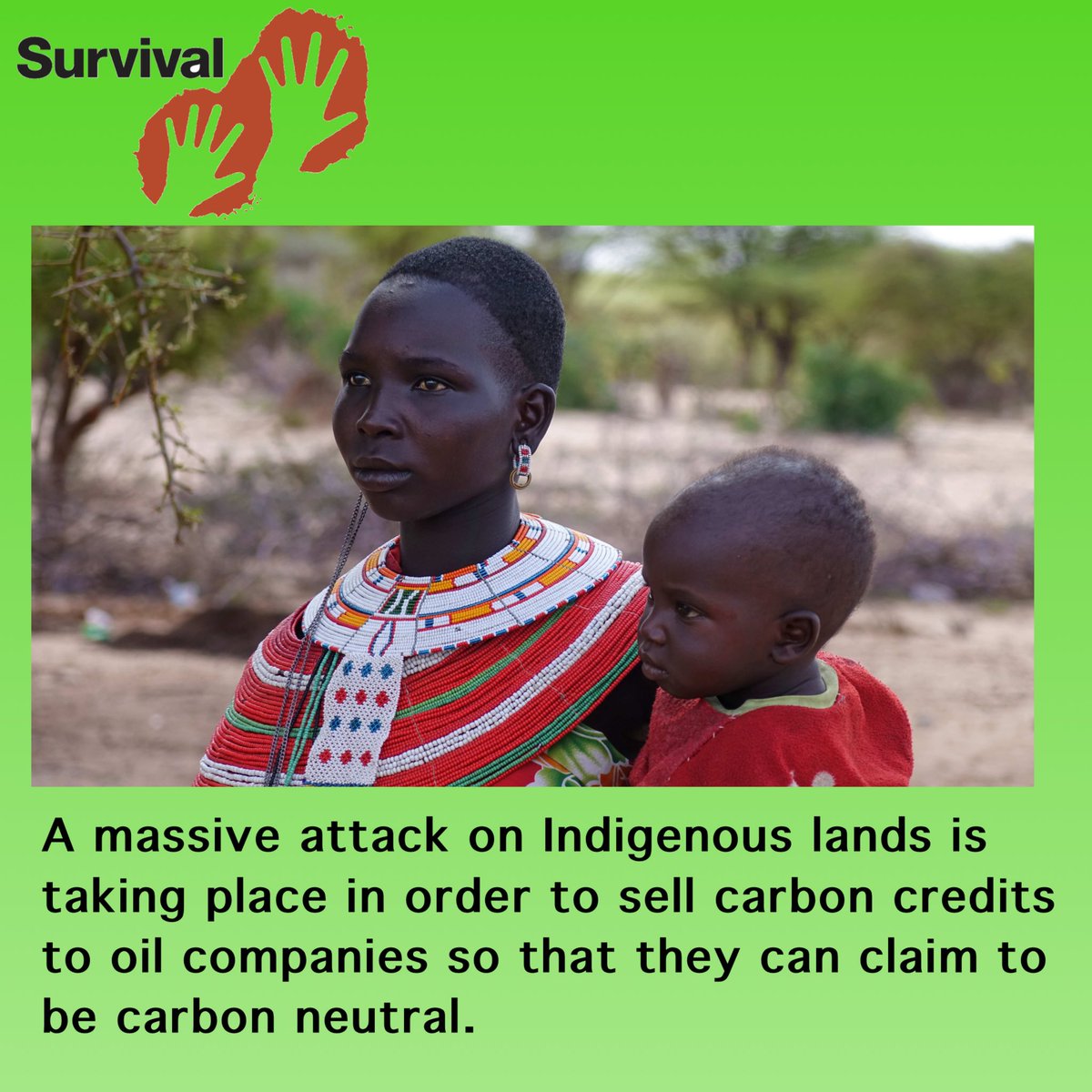 Increasingly, Indigenous territories are being targeted for carbon offset schemes. Protected Areas – which usually lead to evictions and violence against local people - are now being justified by claims about their potential to ‘store’ carbon. Act now! svlint.org/BloodCarbonTW