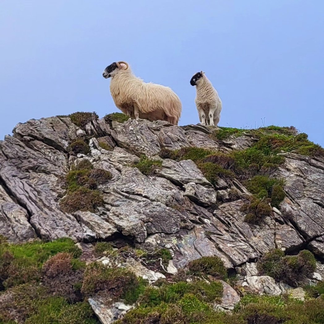 'Mother and Son' Sliabh Liag, County Donegal, Ireland.