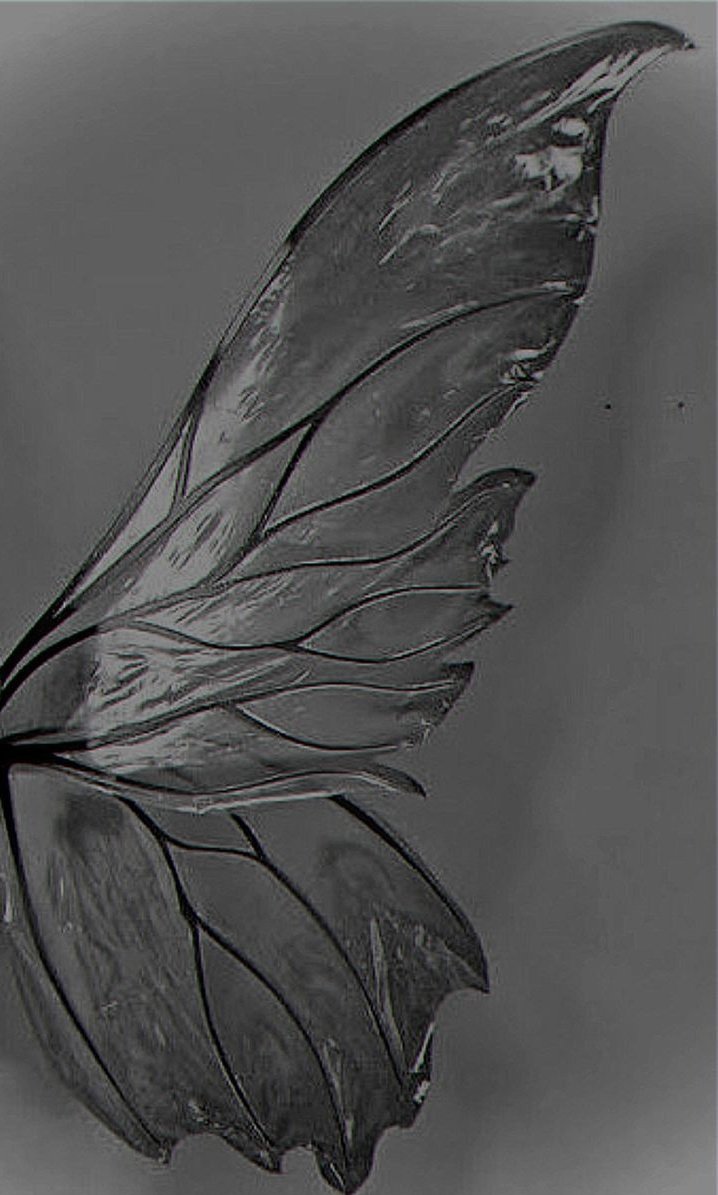 🧸🏡zara tweet media