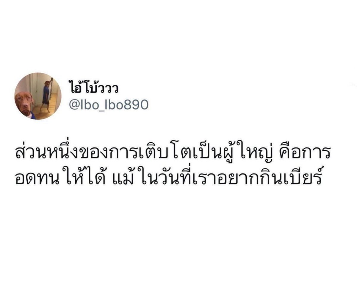 🥺🍻
#เรียลทํางาน