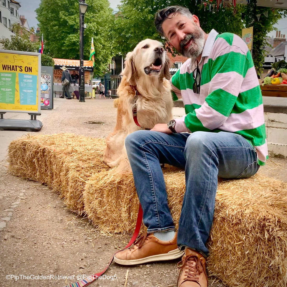 🥘🐶🥗

Who better to give me the lowdown on day two of the #DogFriendly Sankeys Feast & Fizz Festival on The Pantiles than event organiser Matthew Sankey!

#FoodFestival #GoldenRetrievers 🐕😀🐾
