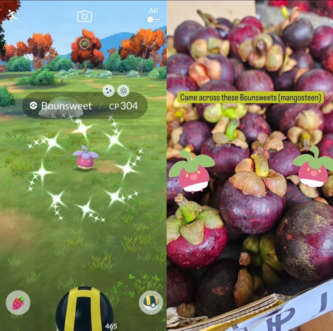 My one and only shiny caught from my bed while dozing in and out of slumber ✨️ Interesting fact, Bounsweet was modelled after the Southeast Asian fruit Mangosteen 🤓 (I've seen some referring to it as a tomato 🥲). I saw these at an Asian market last weekend. #PokemonGo