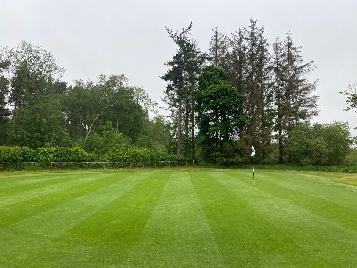 Applied a bag of ICL Gronamic Golf 16.3.6 + 2MgO + 2.0 CaO + 0.5 Fe to this green 2 weeks as a little trial!! More than happy with the results <a href="/becks_ICL/">Ryan Beck</a> <a href="/GroGreenLtd/">groGreen</a>