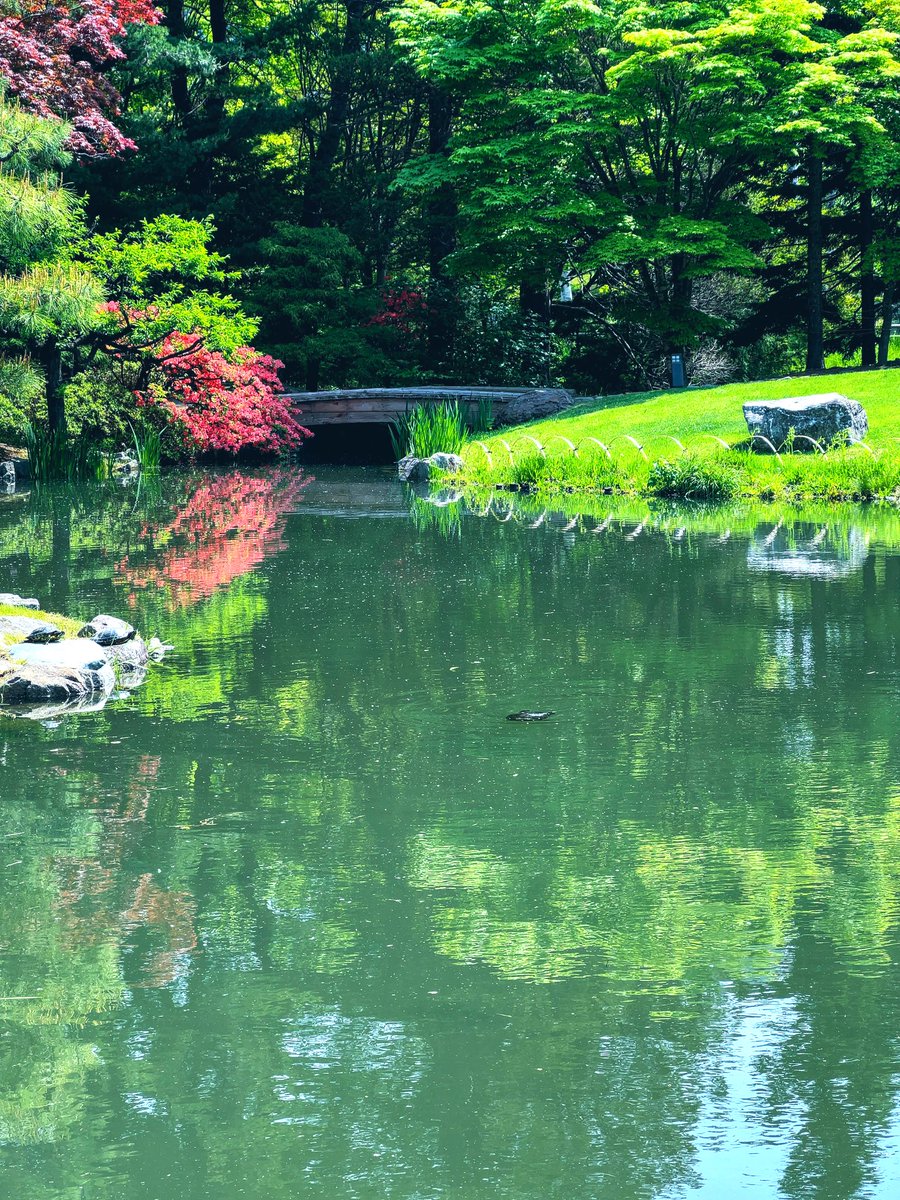 景色がバスクリン💚