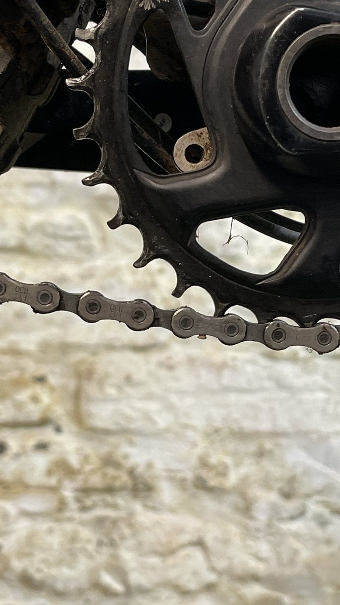 Thomas G Dibley tweet media