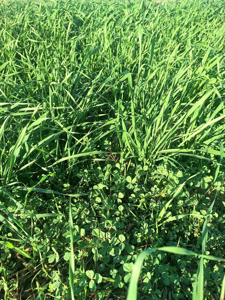 Ashley Jacobs tweet media