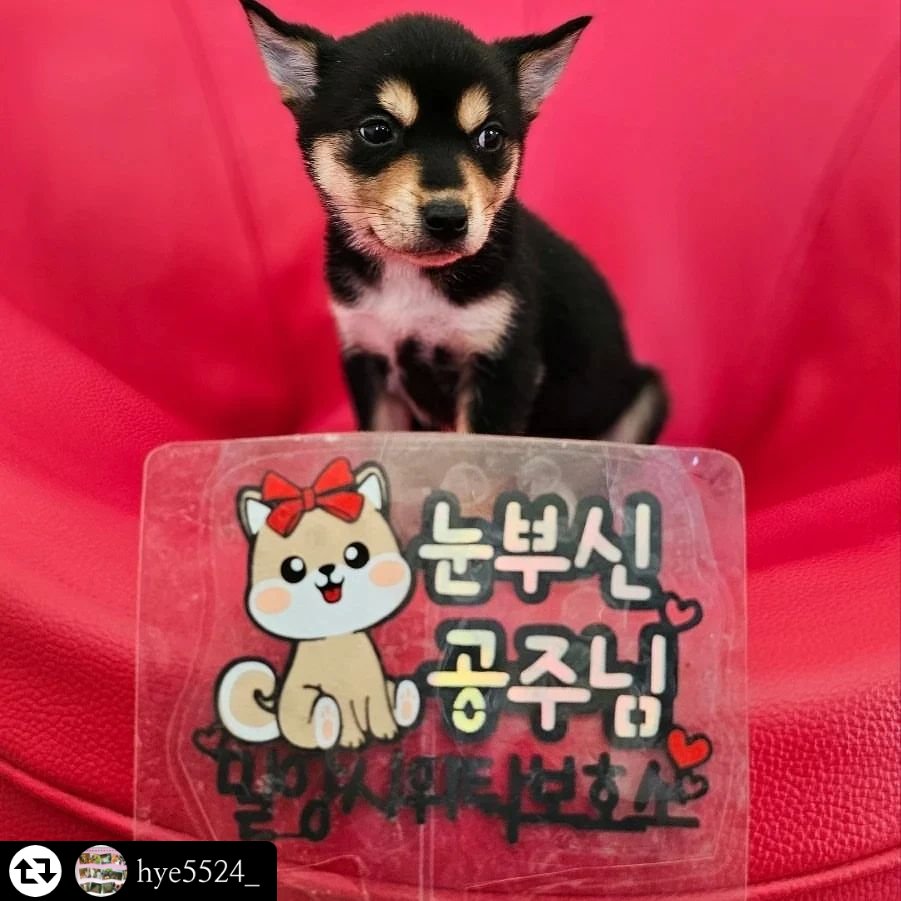 🐻‍❄️웅이🐻‍❄️ tweet media