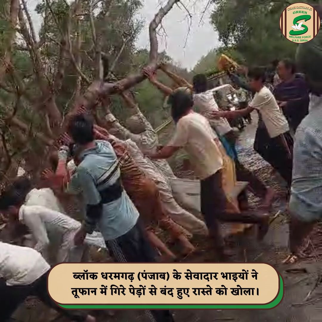 After a thunderstorm wreaked havoc, leaving roads blocked by fallen trees, devoted Shah Satnam Ji Green ’S’ Welfare Force Wing volunteers sprang into action. They labored tirelessly to clear the obstructed paths, prioritizing the safety and welfare of all travelers. Whenever