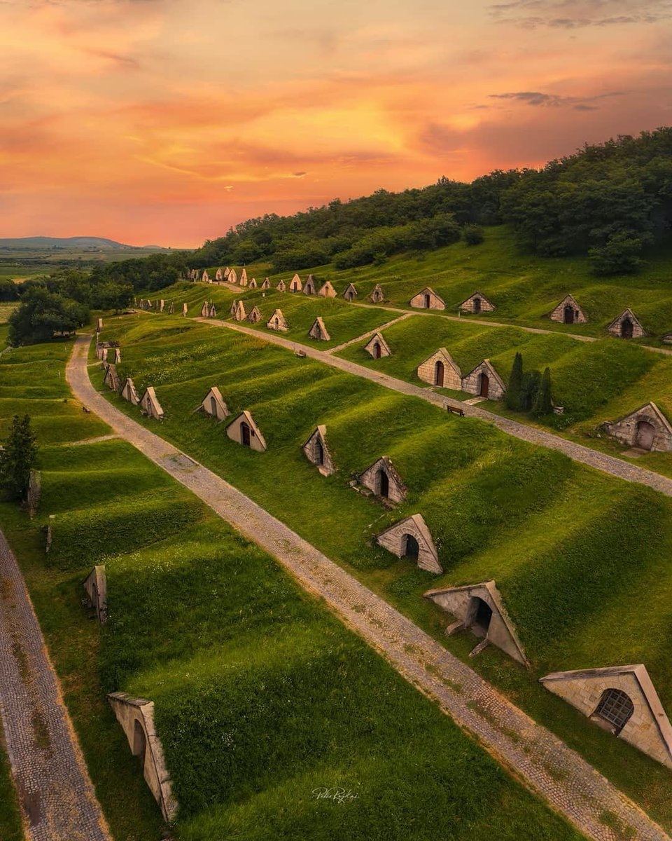 Wine cellars in Hungary that look like a hobbit village.

#HobbitVillage
#HungarianWineCellars
#WineLovers
#TravelHungary
#UniqueDestinations
#TolkienInspired
#WineTourism
#RusticCharm
#CountrysideBeauty
#EnchantingEurope