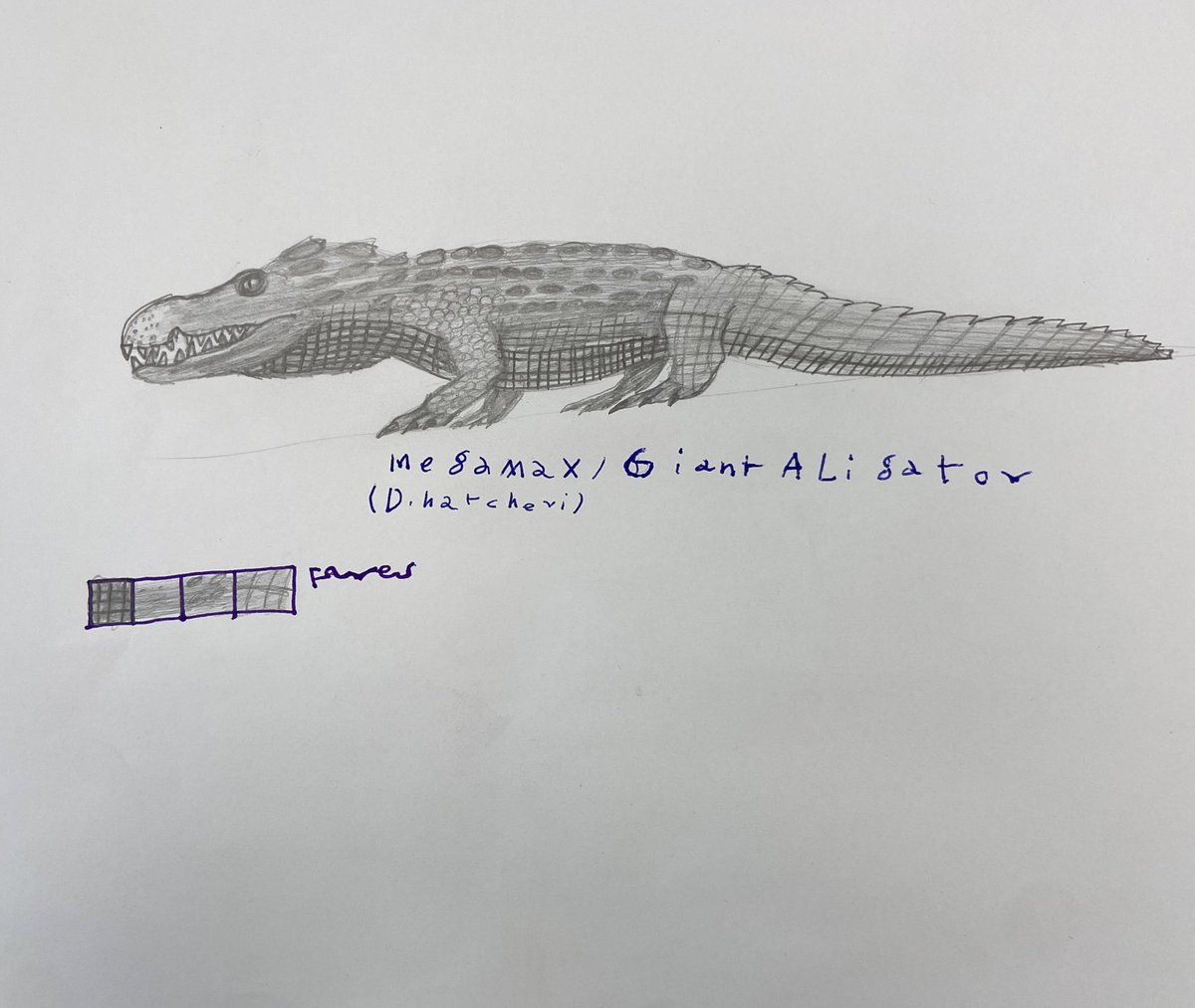 بعض رسومات ✍️ فارس  😍

إن الأبطال لا يُصنعون في صالات التدريب، الأبطال يُصنعون من أشياء عميقة في داخلهم هي: 
الإرادة     والحُلم      والرؤية.

#فارس_التوحد عالم 🦕🦖 جميل