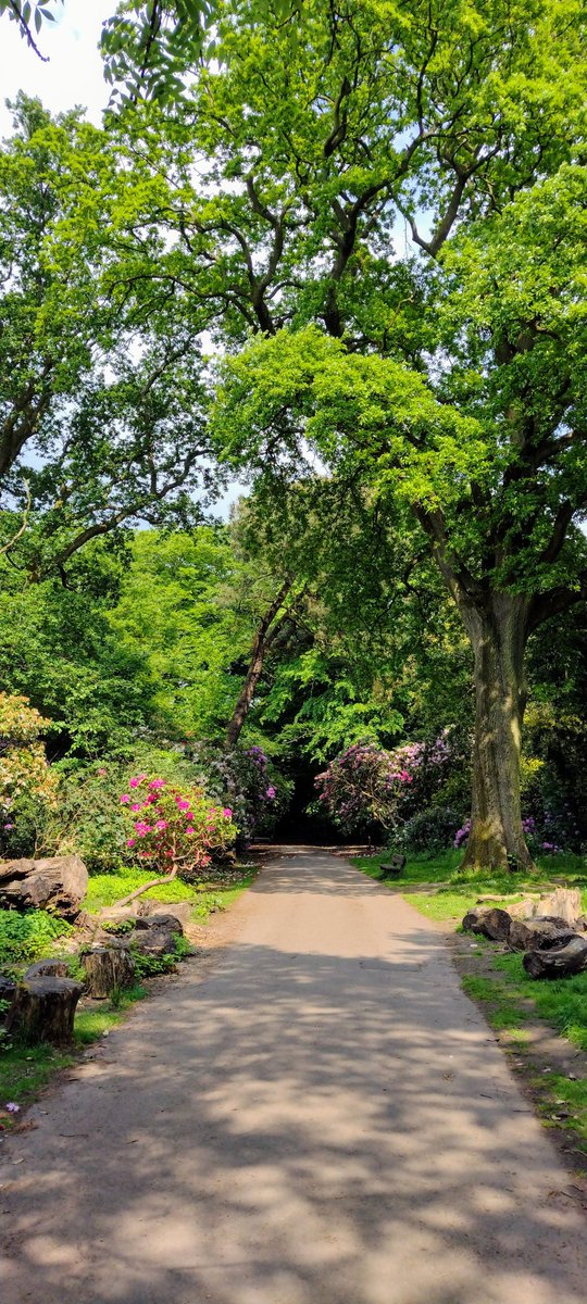 Calderstones Park. You absolute beauty!! ❤️ #LoveLiverpool