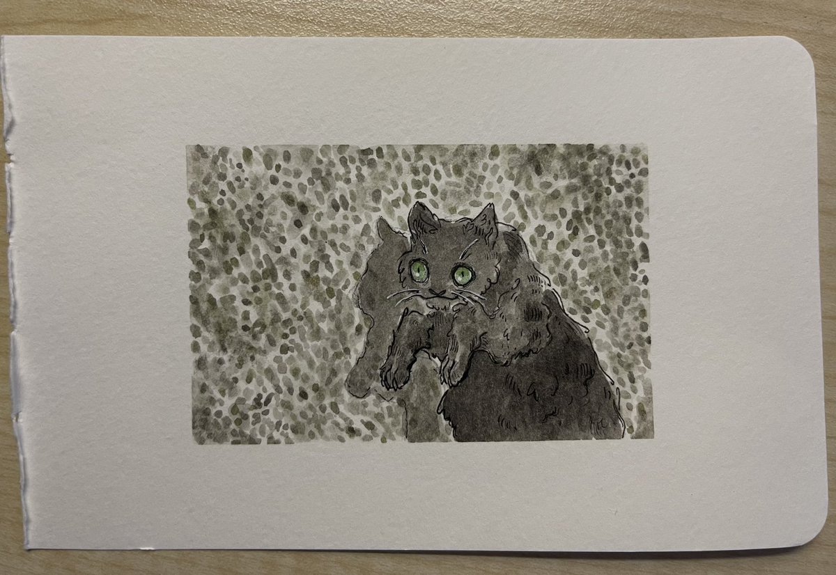 Another brilliant hand-painted #birthdaycard! This one from my wonderful son Xander who was inspired by a photo @FeargalShiels sent the other day of our cat Nightshine rolling on her back — turned on its side, it looked as though she was creeping along beside a wall. I love it!