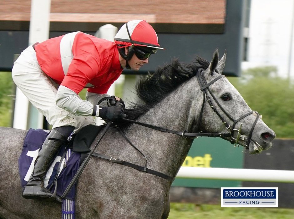 She’s the one. 𝙎𝙩 𝙄𝙧𝙚𝙣𝙚 made it look easy in the hands of @jackquinlan92 @Southwell_Races 🥇 Malinas (GER) - Seren Gris (Fair Mix (IRE)) Owners: The Saints @RathbarryStud @glenstud @Reggie_Disley @Laurence020365 @TomHumphries93