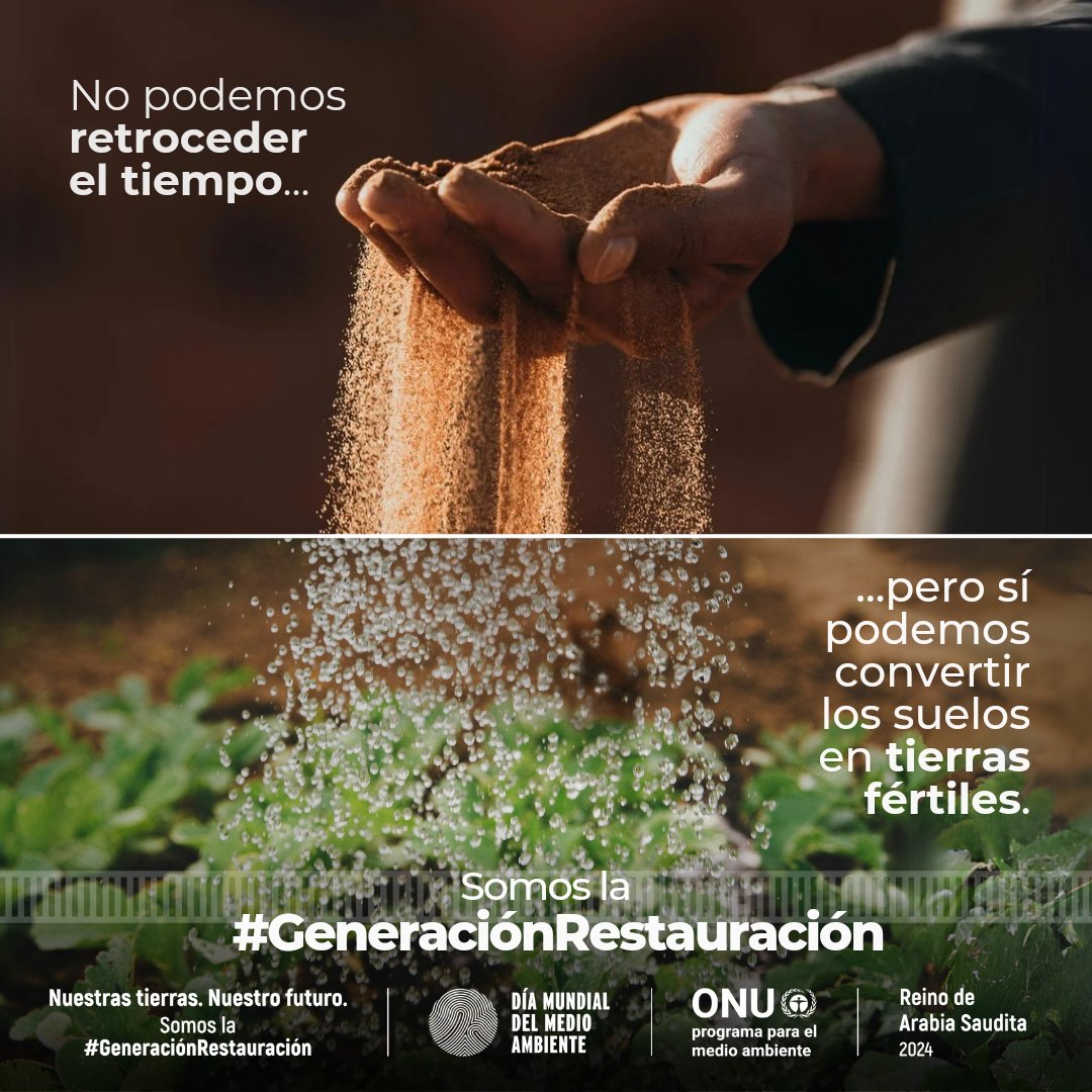 Un planeta sano y un futuro habitable para todos, en todas partes, todavía es posible. #ActúaAhora Únete a la #GeneraciónRestauración e impulsa el movimiento global para prevenir, detener y revertir la degradación de las tierras y los suelos. worldenvironmentday.global/es