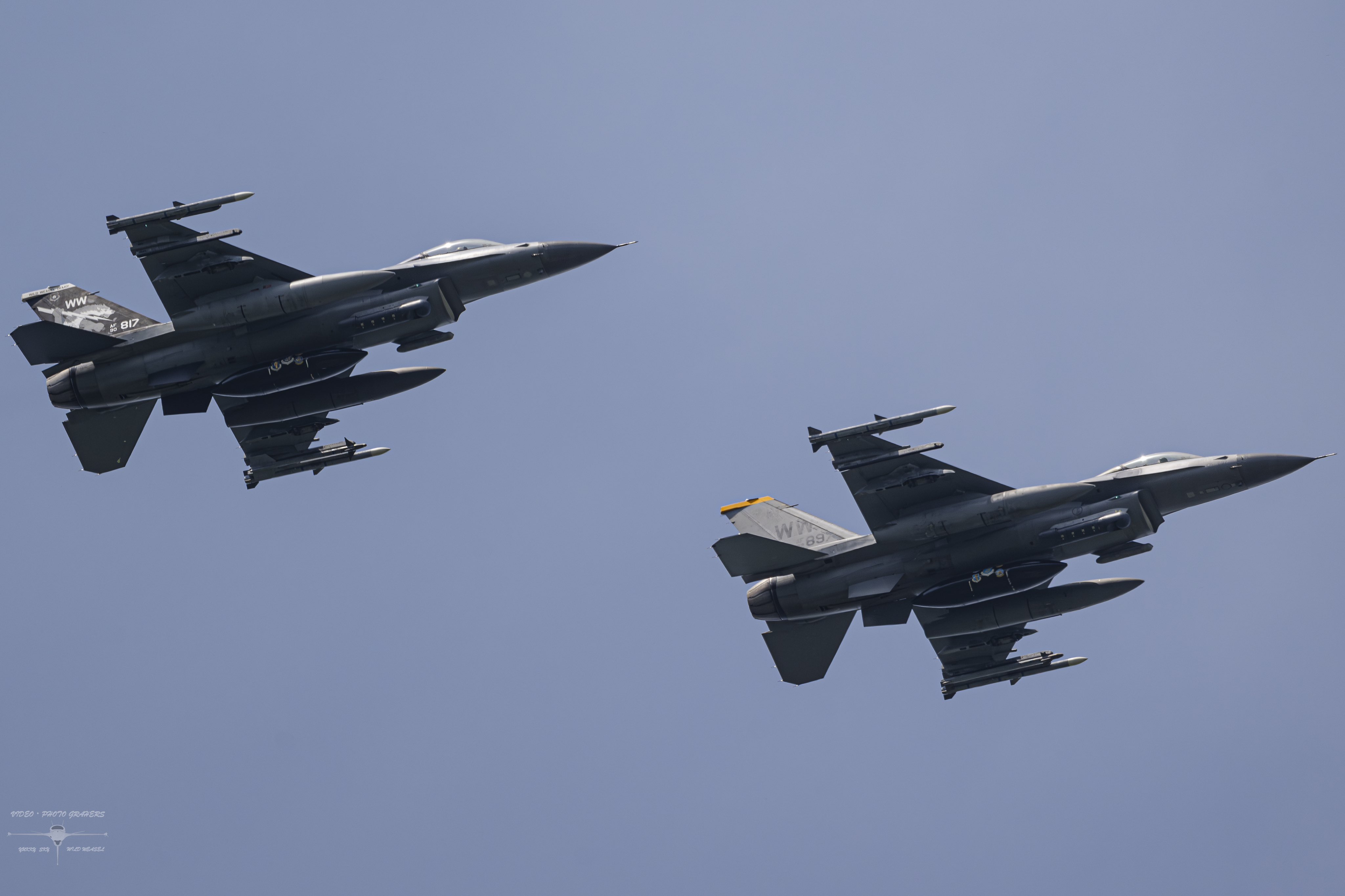 Amazon.co.jp: wild weasel demo f-16demo teamパッチ 三沢基地