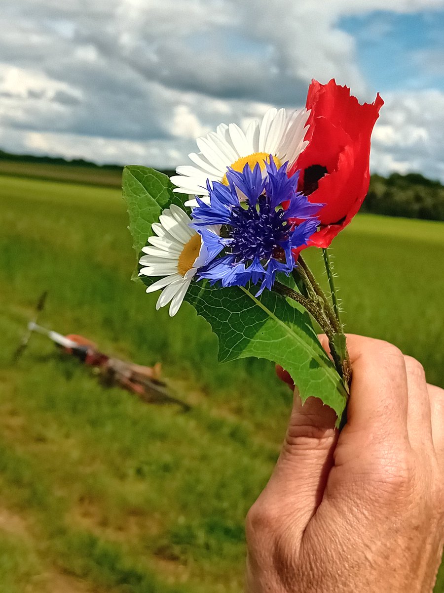 Pour vous! Beau Dimanche 😊🌼🌿